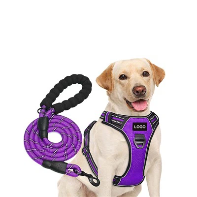 Personlig logo hundesele og reb hundesnor sæt